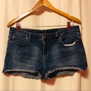GAP Classic Denim Cutoff Shorts
